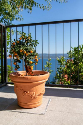 Apartment Lea, Stanici